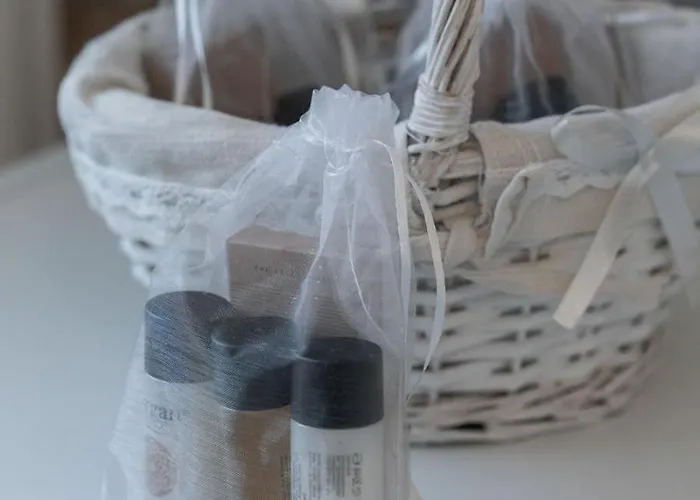 Alexa's - Elegance E Comfort For