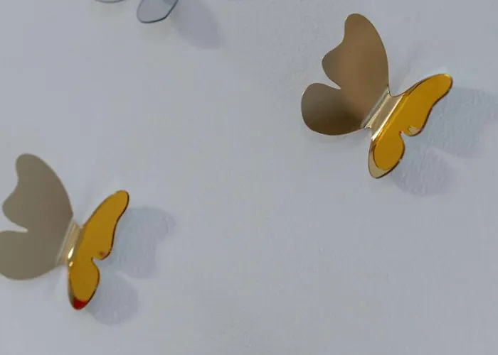 Alexa's - Elegance E Comfort For *